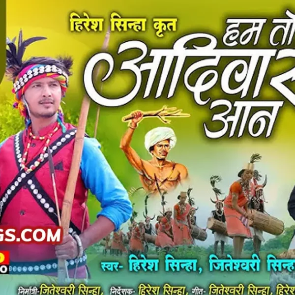 hum to aadiwasi aan bastar song