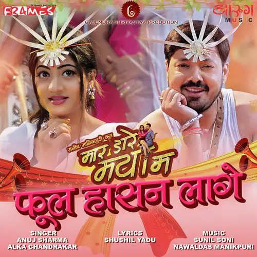 ful hasan lage new cg song lyrics