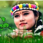 mor maya ke karan suwa re cg song lyrics