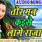 tor man kaise lage raja cg song lyrics
